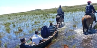 Corrientes: un hombre murió en una zona rural del Parque Iberá