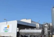 Quebró una tradicional empresa láctea y despidió a más de 140 trabajadores