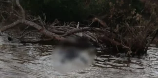 Hallaron un cuerpo en el río Paraná: investigan si es de un correntino desaparecido