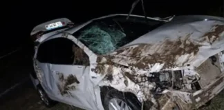 Corrientes: un auto impactó contra un chancho salvaje sobre la Ruta 123