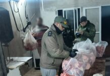 VENDIERON ANIMALES EN NEGRO: EL CARNICERO TERMINÓ CON CAUSA JUDICIAL Y LOS PRODUCTORES MULTADOS