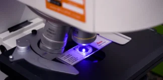 La Unne creó “Kuaapy”, el instituto para promover el desarrollo en biotecnología